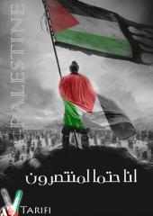 الصورة الرمزية Palestinian NADER